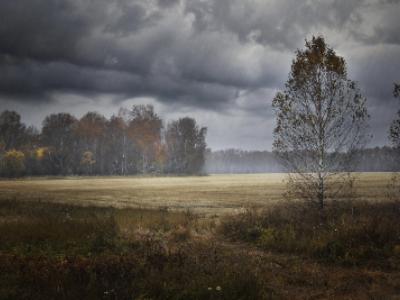 История о горделивом человеке